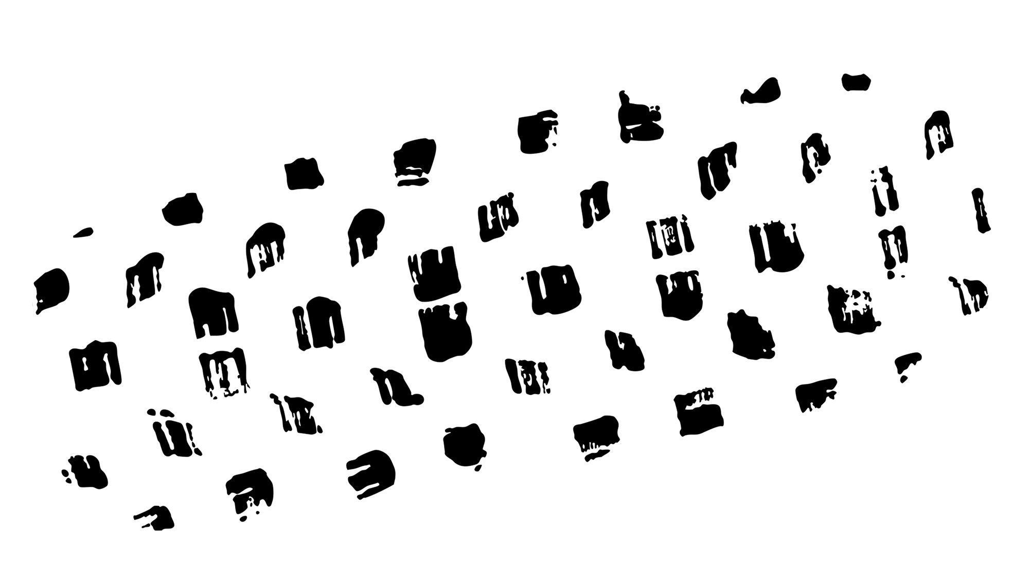 pneu-zleen-racerunner-vtt-xc structure carcasse radiale pneu vtt racerunner zleen